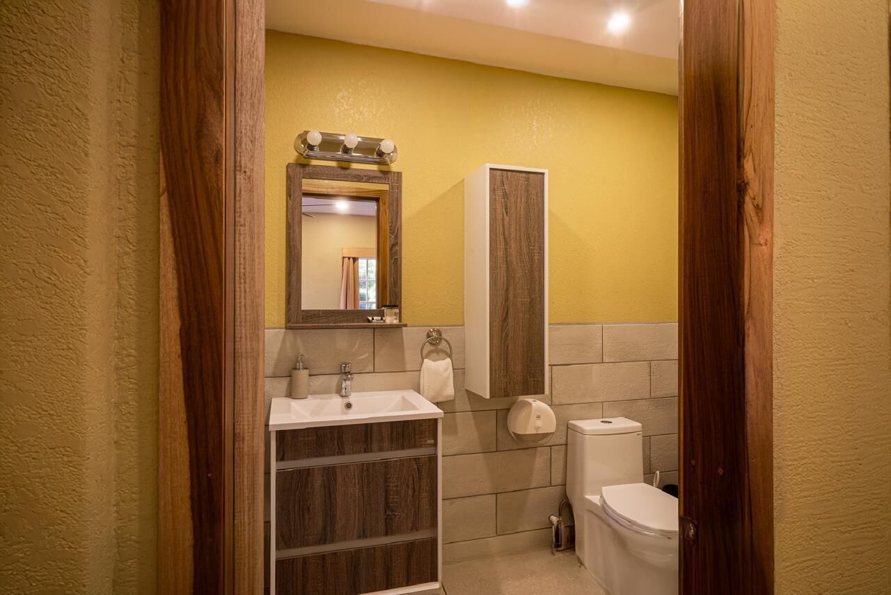 basic suite | bathroom | shower, rainfall showerhead, soap, shampoo