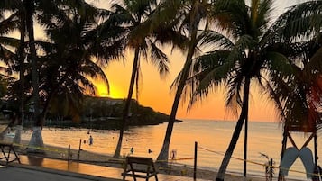 Walk along the beachfront path lined with palm trees and take a seat on the bench for a serene beach experience.