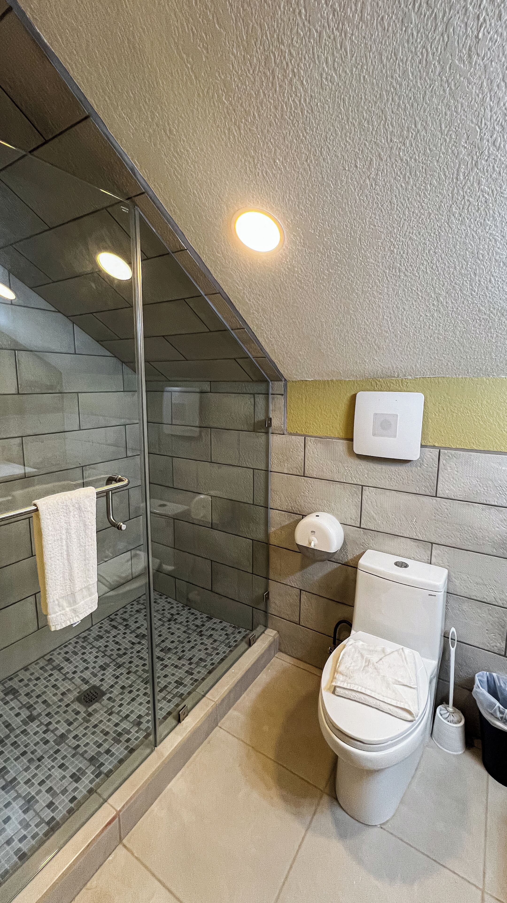 panoramic penthouse suite | bathroom | shower, rainfall showerhead, soap, shampoo