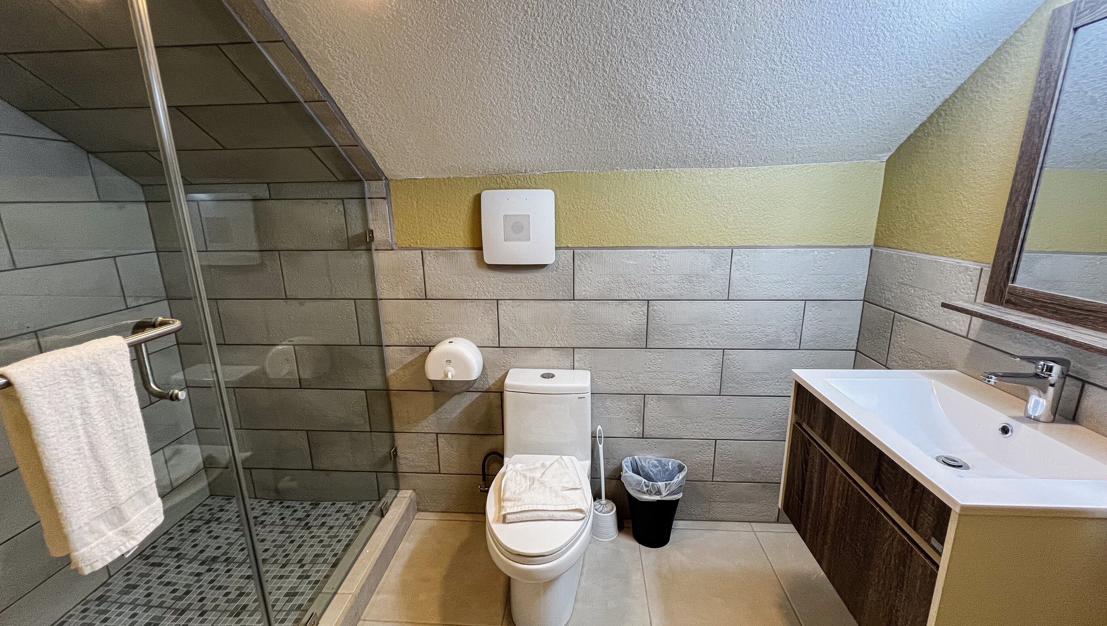 A bathroom with a glass shower enclosure, a toilet, a sink, and a mirror.