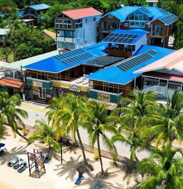 A hotel with multiple buildings, a beach area with palm trees, and a sign for 'Premium Dairy Farm'. - Mr. Tucan Hotel (Roatan)