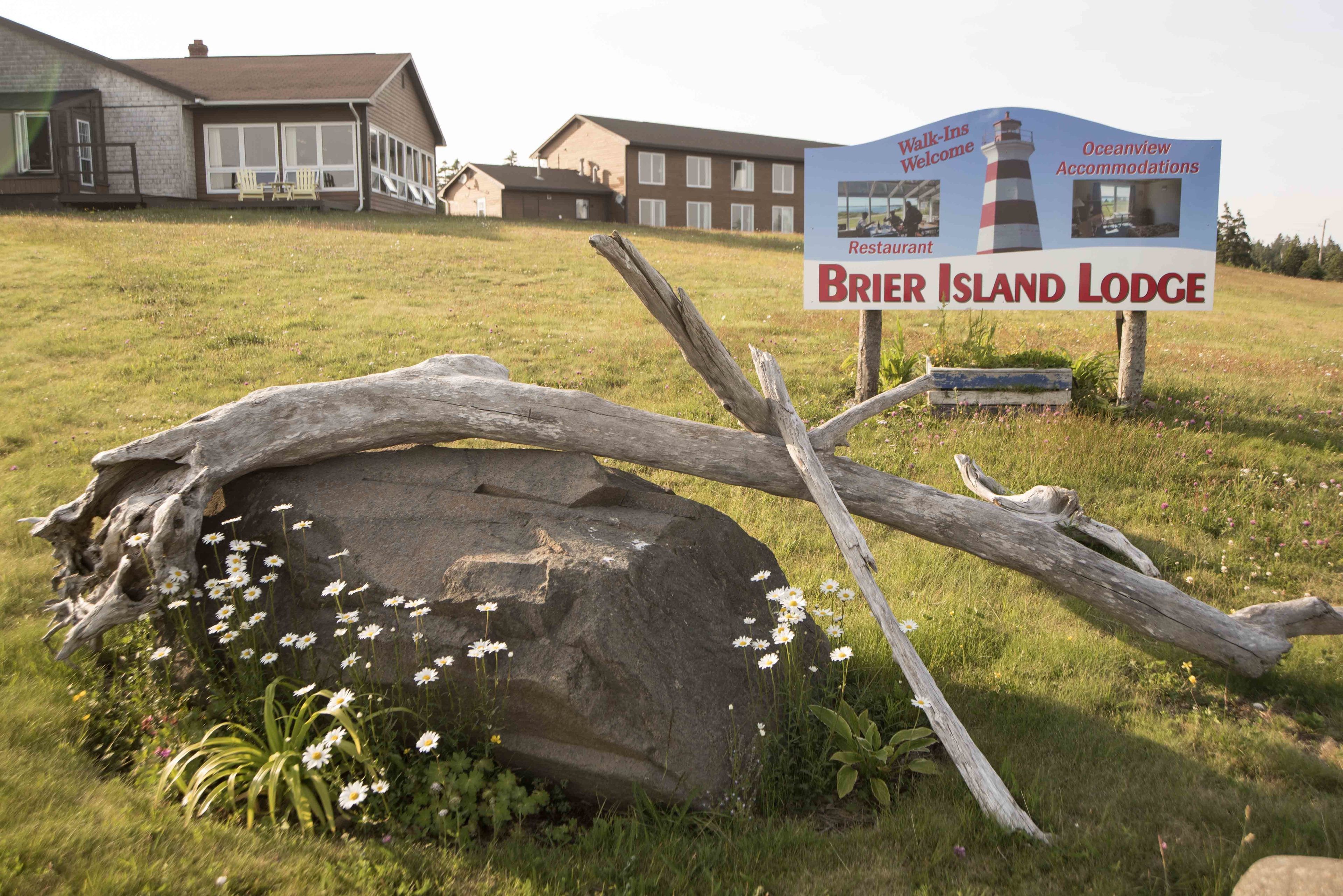 Skilt for Brier Island Lodge med en rustik træstamme og blomster i forgrunden.
