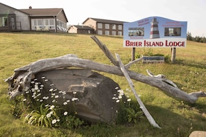 Property grounds - Brier Island Lodge (Westport)
