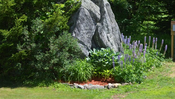 Ein Garten mit einem großen Felsen im Mittelpunkt, umgeben von verschiedenen Pflanzen und einer hölzernen Struktur im Hintergrund.