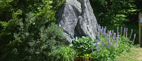 Jardin