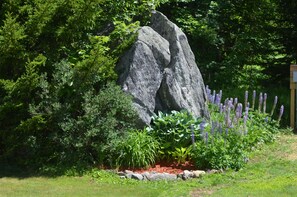 Un jardin avec un grand rocher en guise d’élément central, entouré de différentes plantes et agrémenté d’une structure en bois en arrière-plan.