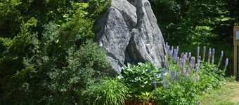 Big Bears Lodge