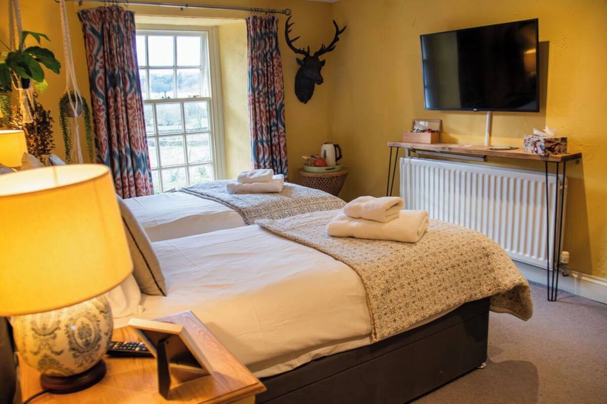 A hotel room with two beds, a mounted deer head, a television, and a window with curtains.
