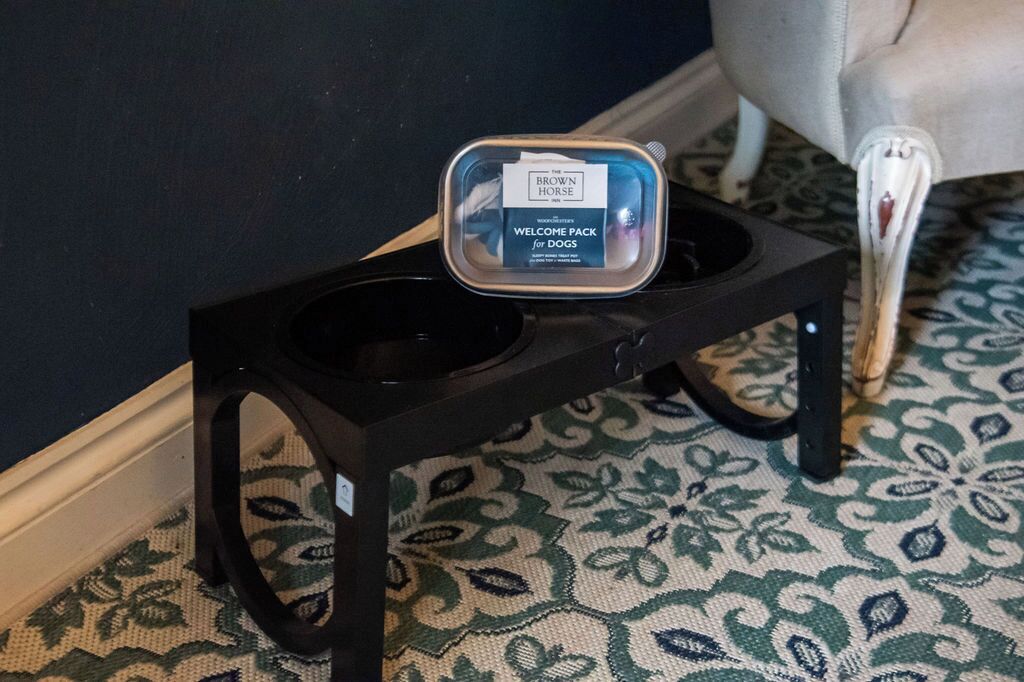 A small black dog bed with a label reading 'The Brown Horse Welcome Pack for Dogs' on a patterned carpet.