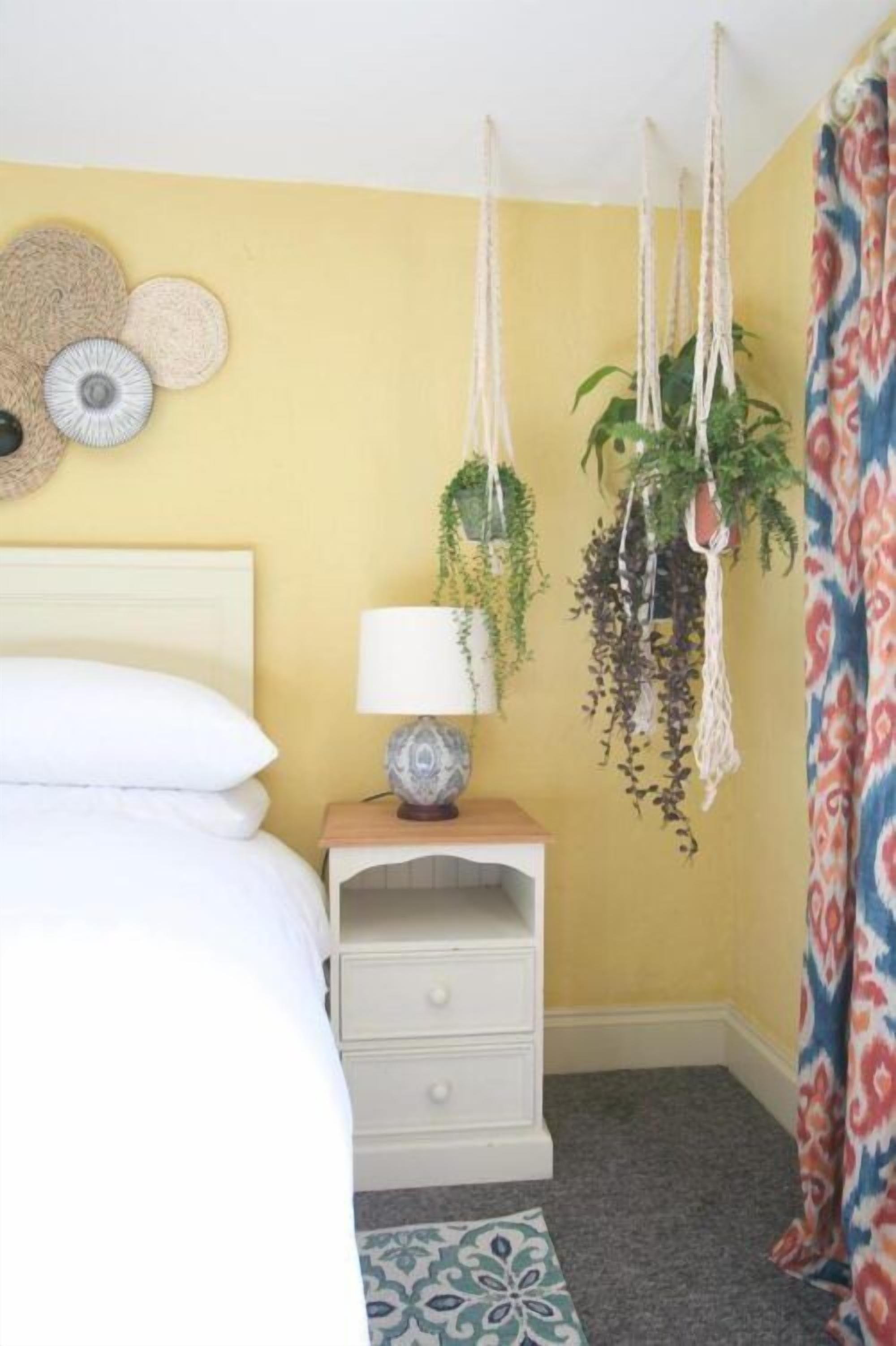 A bedroom with a bed, bedside table, lamp, hanging plants, and a patterned rug.