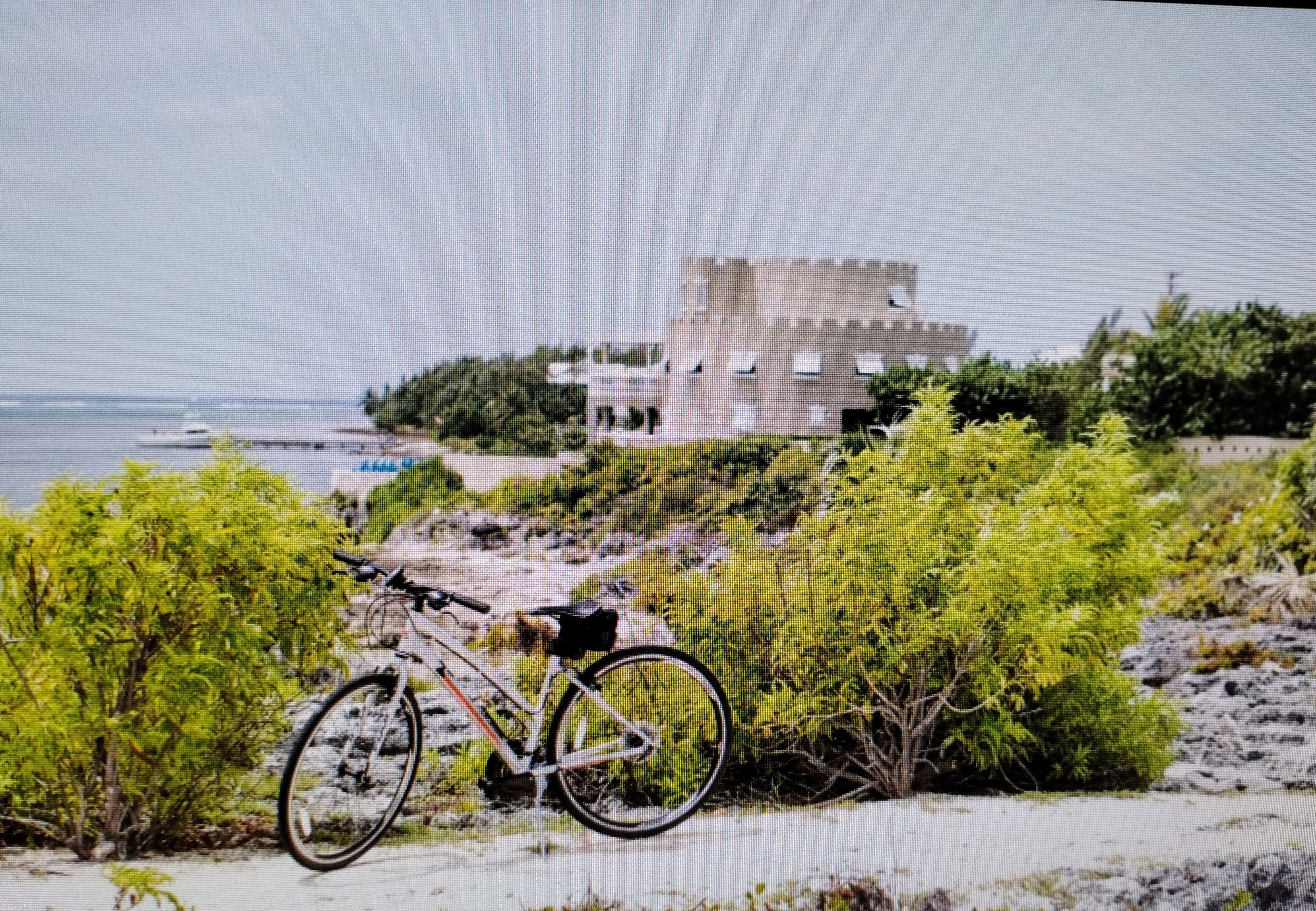 Una bicicleta aparcada en un sendero arenoso, con un edificio al fondo.
