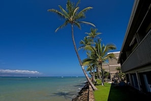 Enjoy ocean views from the balcony of this beachfront property, surrounded by palm trees.