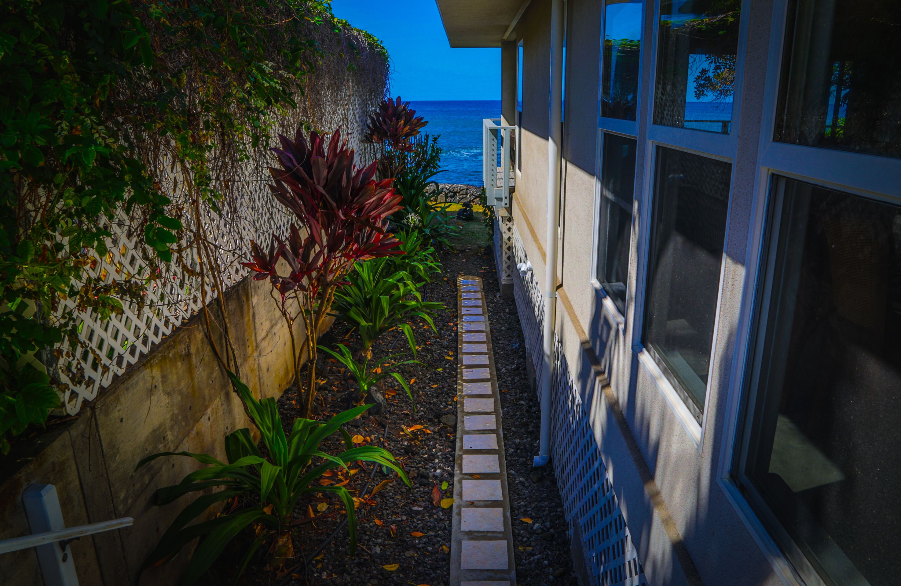 A narrow pathway with a white fence and plants, leading to a building with large windows overlooking the ocean.
