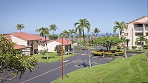 A residential area with houses, palm trees, and a clear sky.