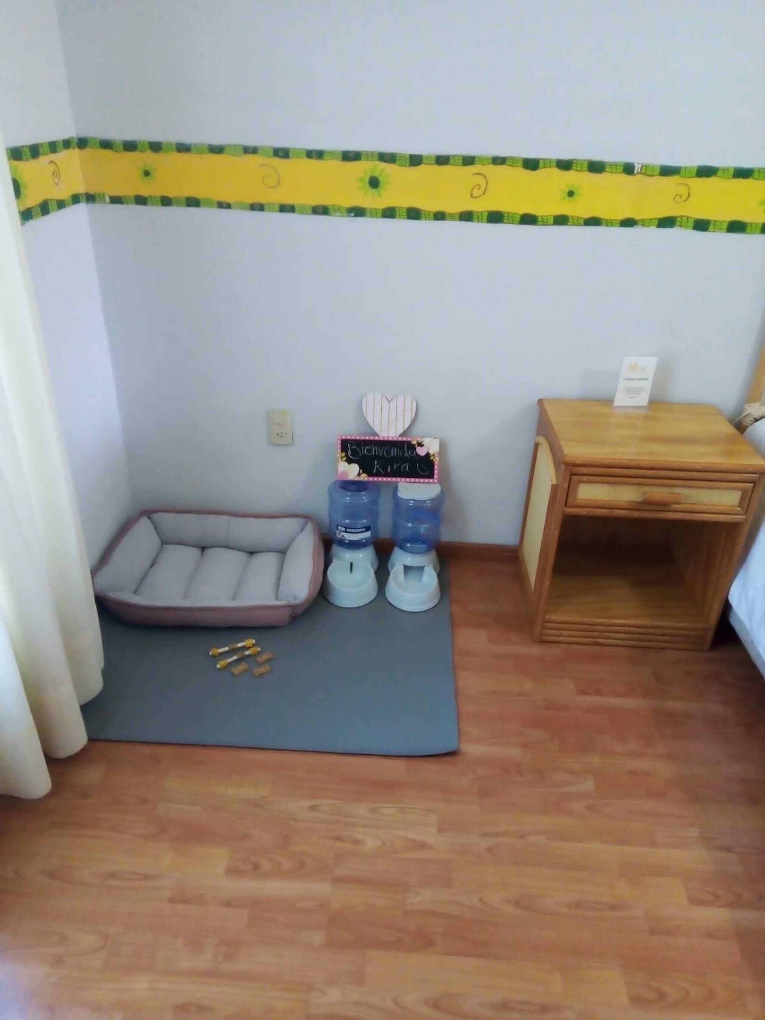 pet-friendly amenities