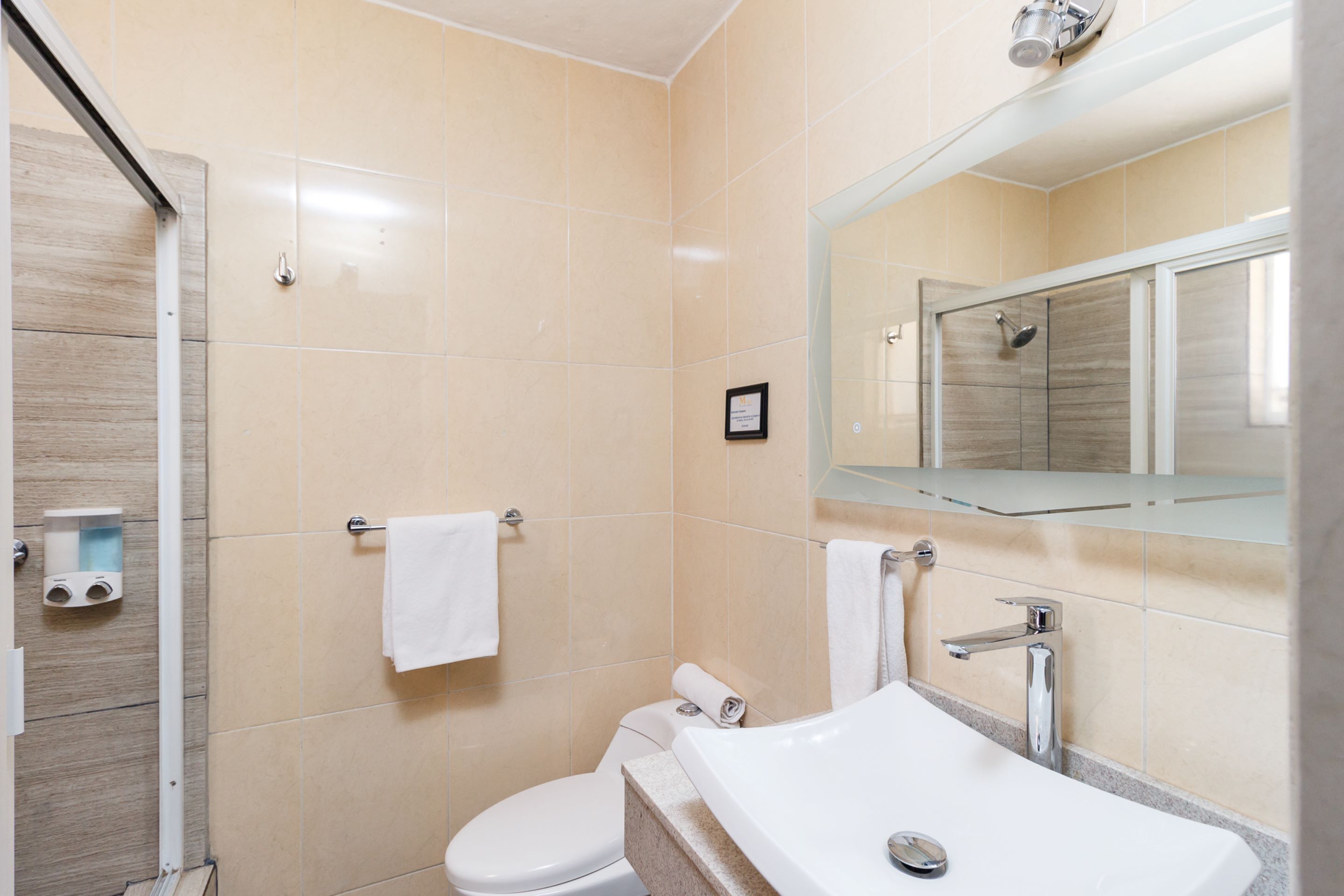 shower, free toiletries, hair dryer, towels