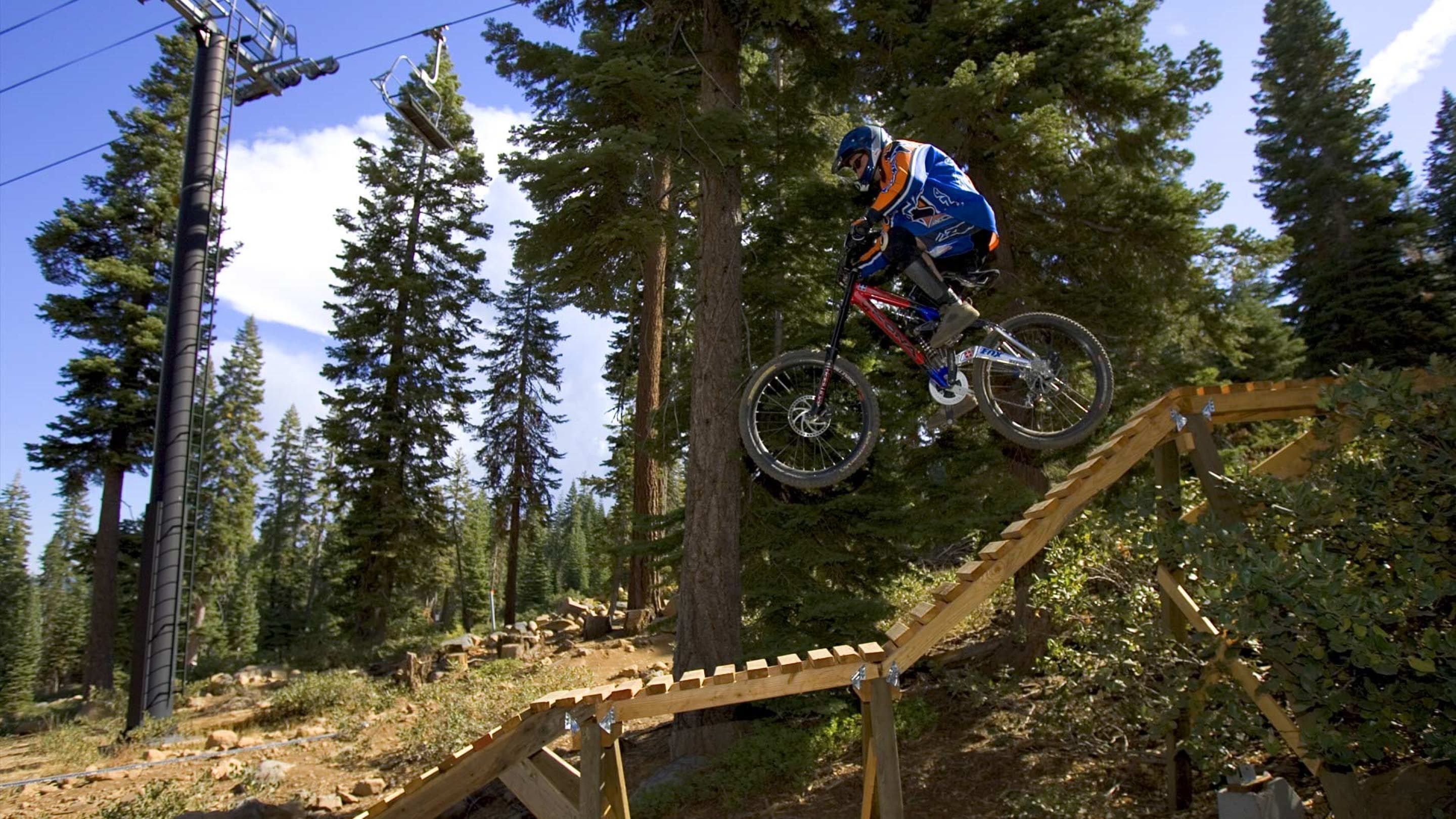 A mountain biker performing a jump over a wooden ramp in a forested area with tall trees and a clear sky.