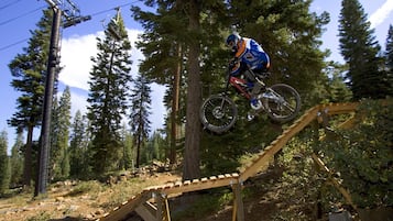 A mountain biker performing a jump over a wooden ramp in a forested area with tall trees and a clear sky.