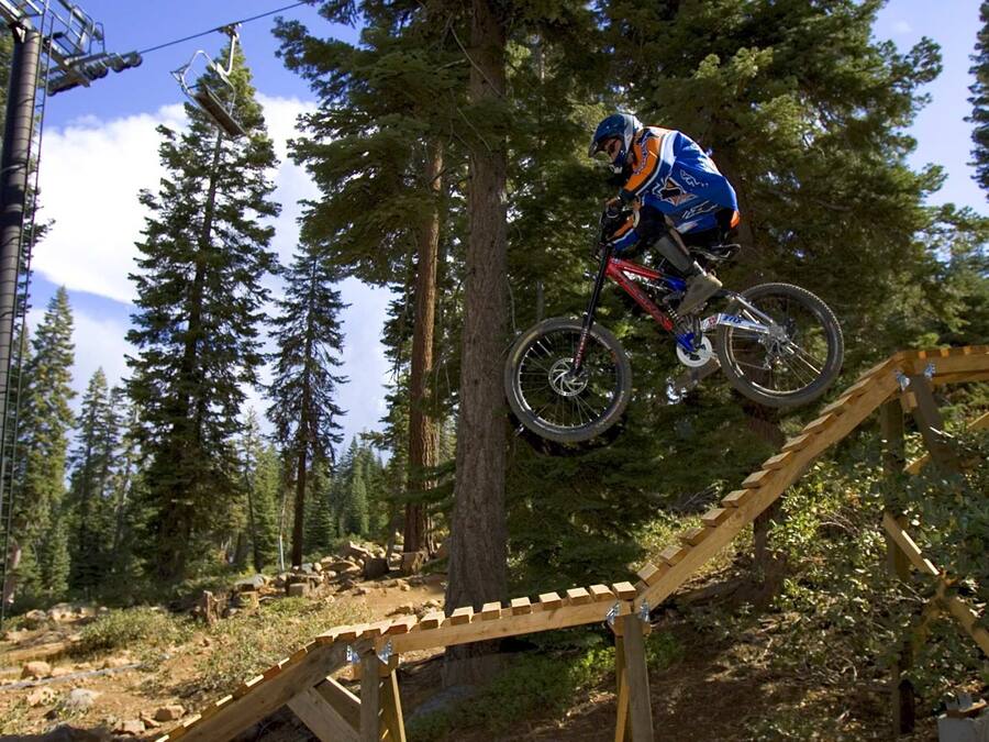 A mountain biker performing a jump over a wooden ramp in a forested area with tall trees and a clear sky.