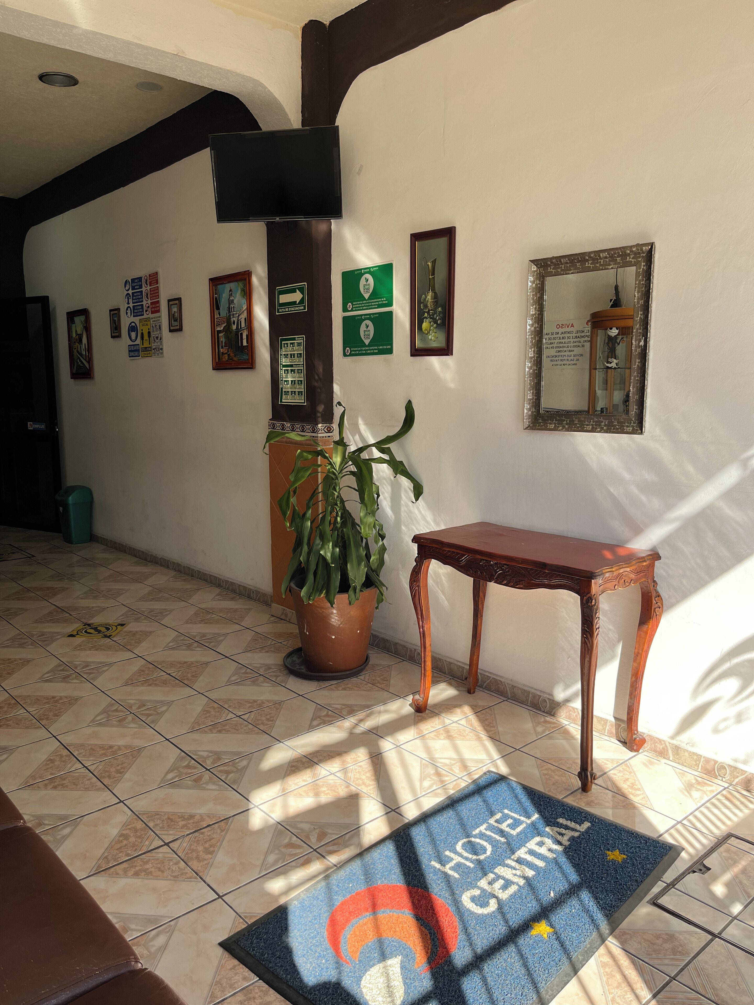 Hall d'albergo con pavimento piastrellato, una pianta in vaso, un tavolo in legno e un tappetino d'ingresso con il nome dell'hotel.