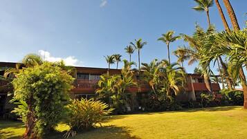 Condo, 1 Bedroom | Property grounds