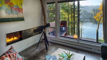 Cabin, 2 Bedrooms | Living area | Fireplace, DVD player