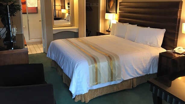 Habitación de hotel con una cama grande, una mesita de noche con lámpara, un espejo, un armario y una planta.