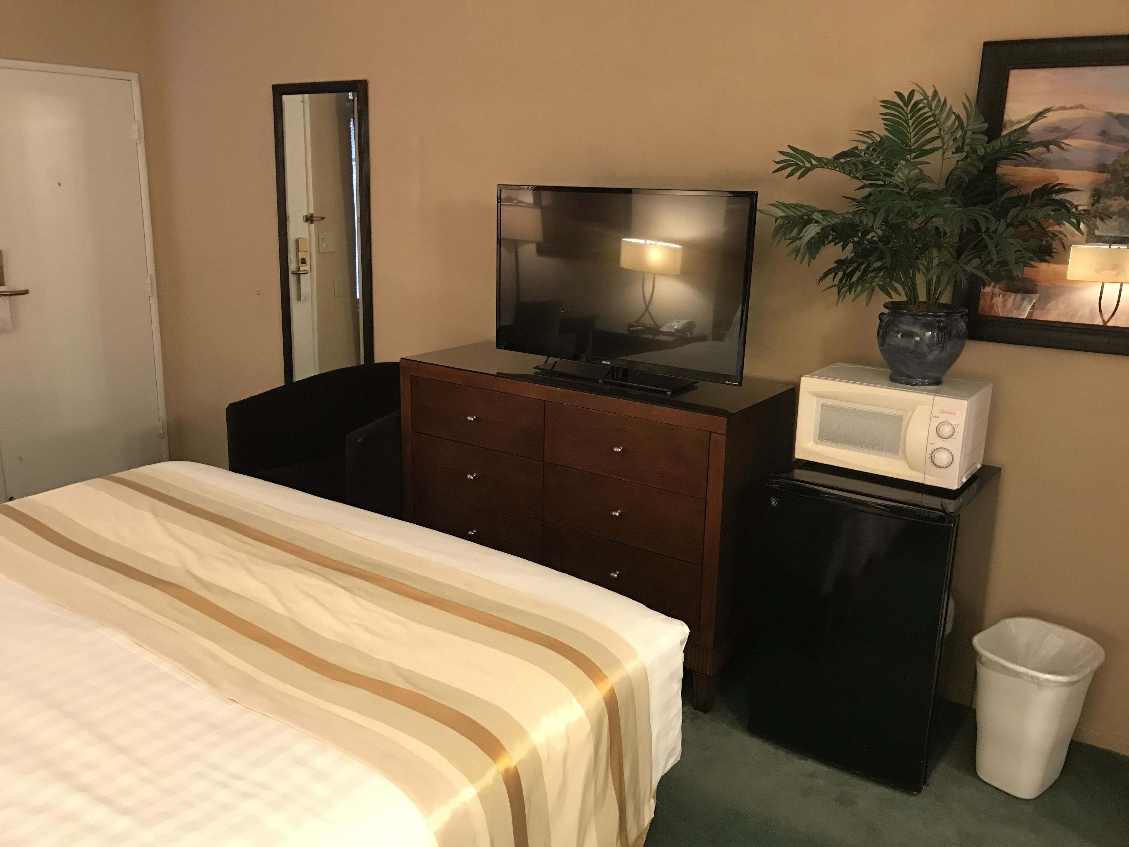 Habitación de hotel con cama, cómoda, televisor, microondas, cesto de basura y planta en maceta.