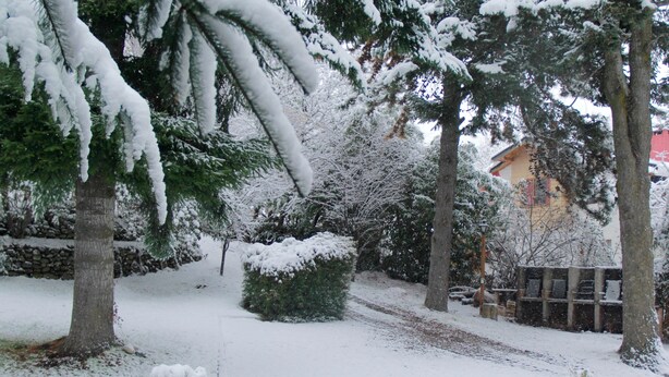 Un parque cubierto de nieve, con árboles y un sendero.