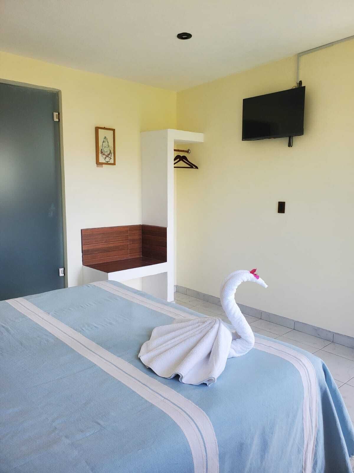 A hotel room with a bed, a TV mounted on the wall, and a towel shaped like a swan.