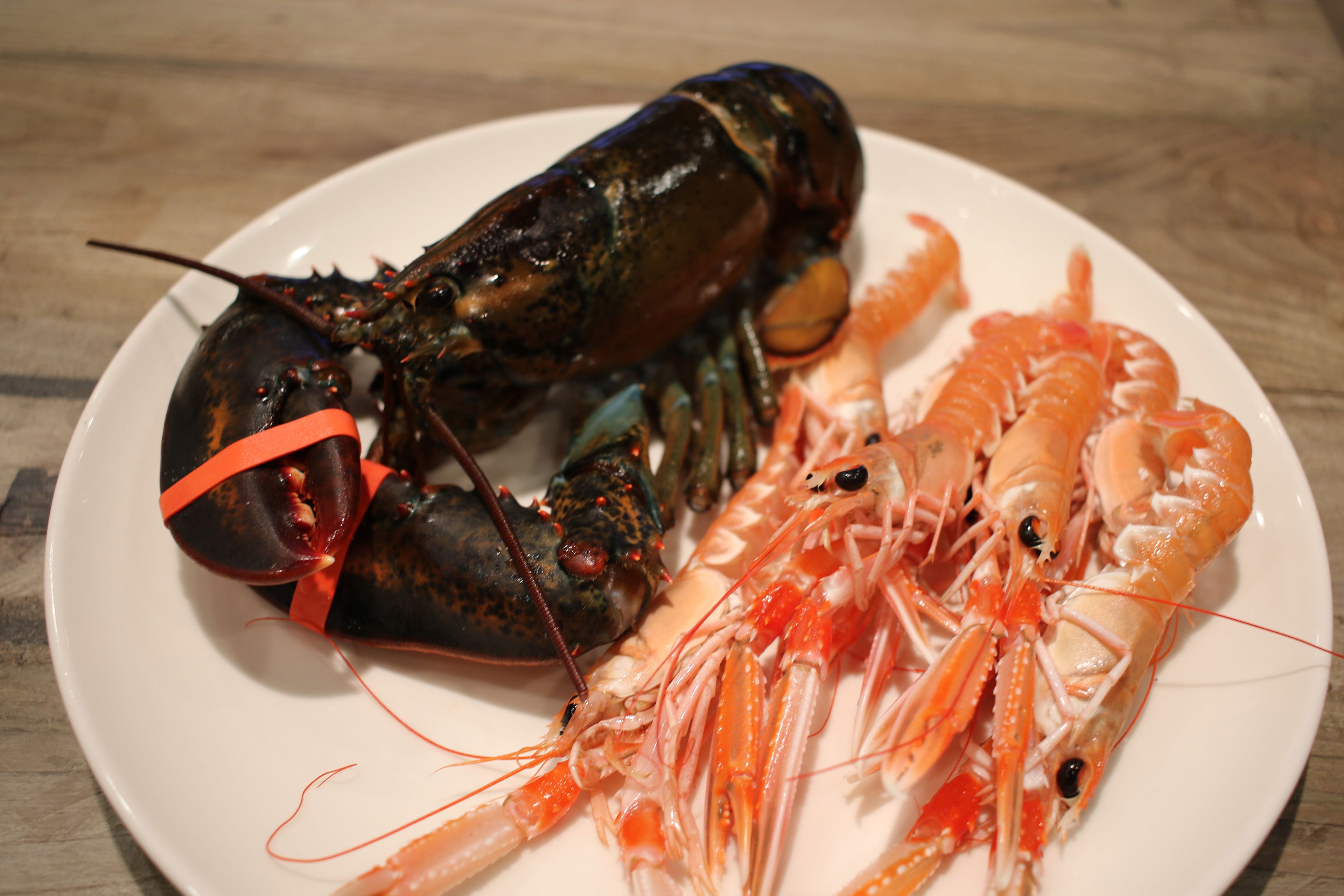 Foto - Hostal La Fosca