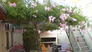 Um pátio externo com uma árvore, cadeiras, uma mesa e uma escadaria.