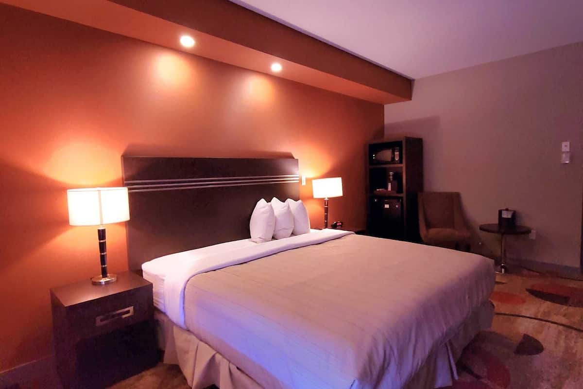 suite, 1 king bed | room amenity