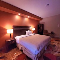Suite, 1 King Bed | Room amenity