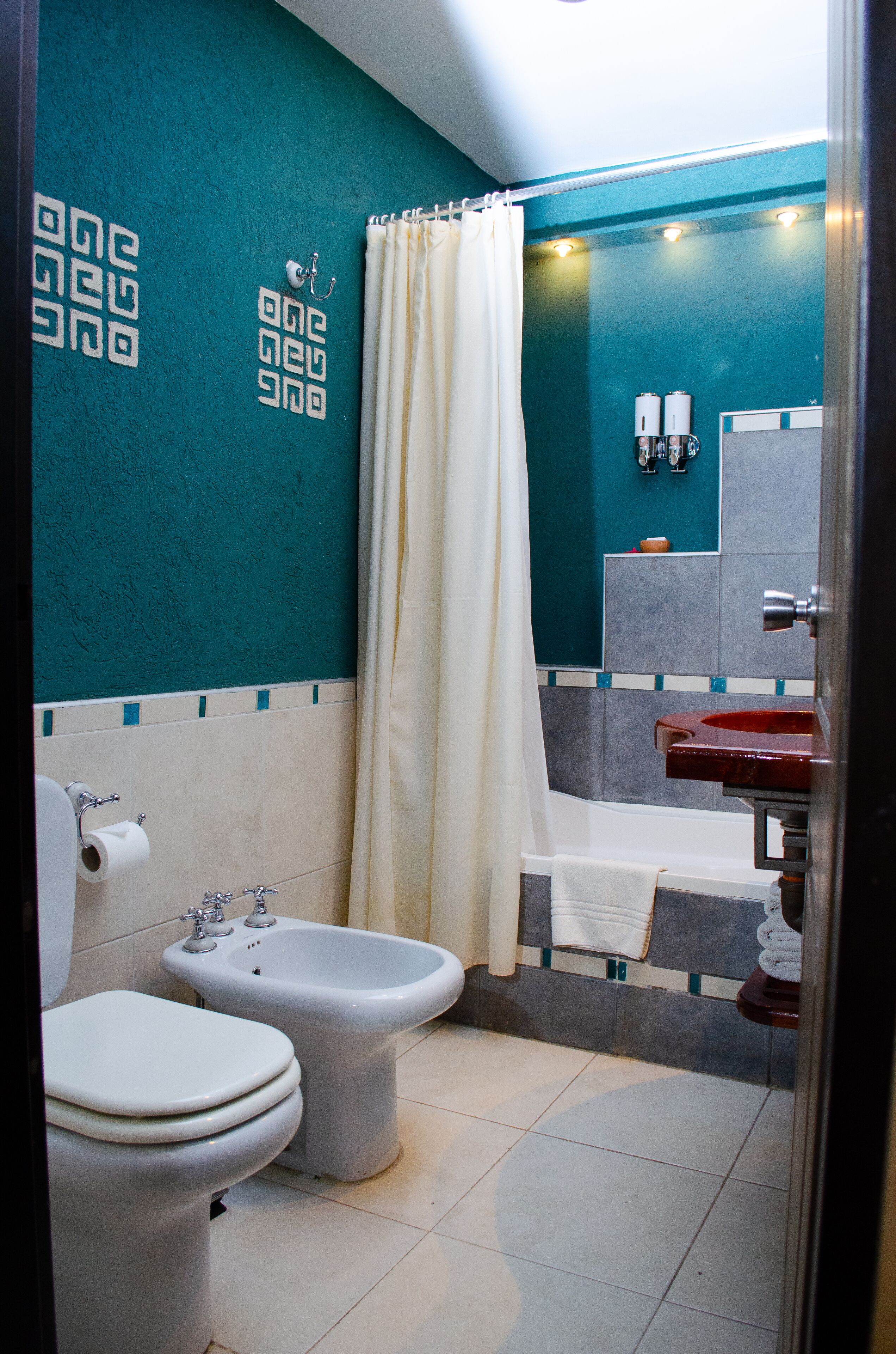 combined shower/bathtub, free toiletries, hair dryer, bidet