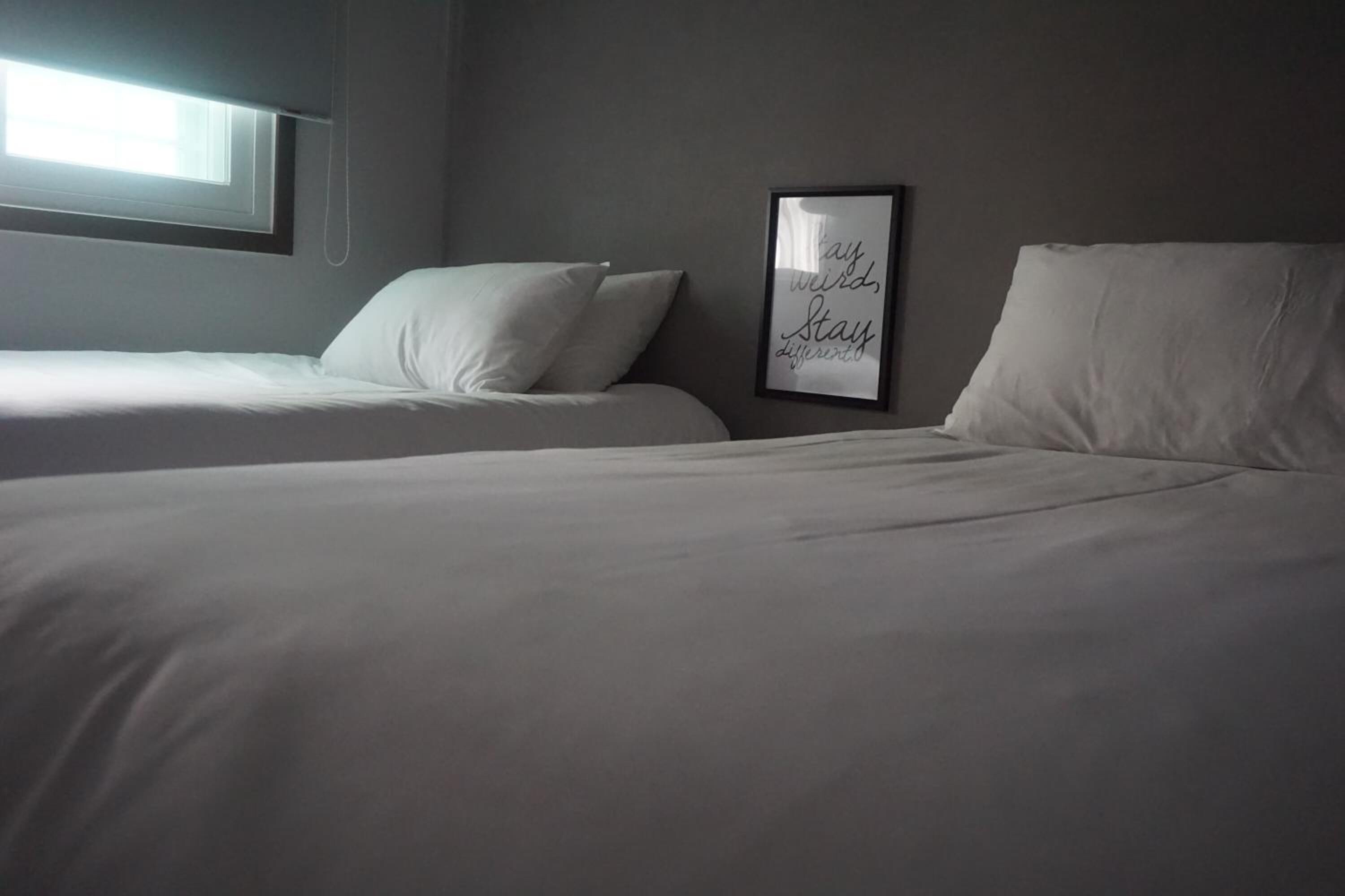 高級寝具、可動式ベッド、WiFi (無料)