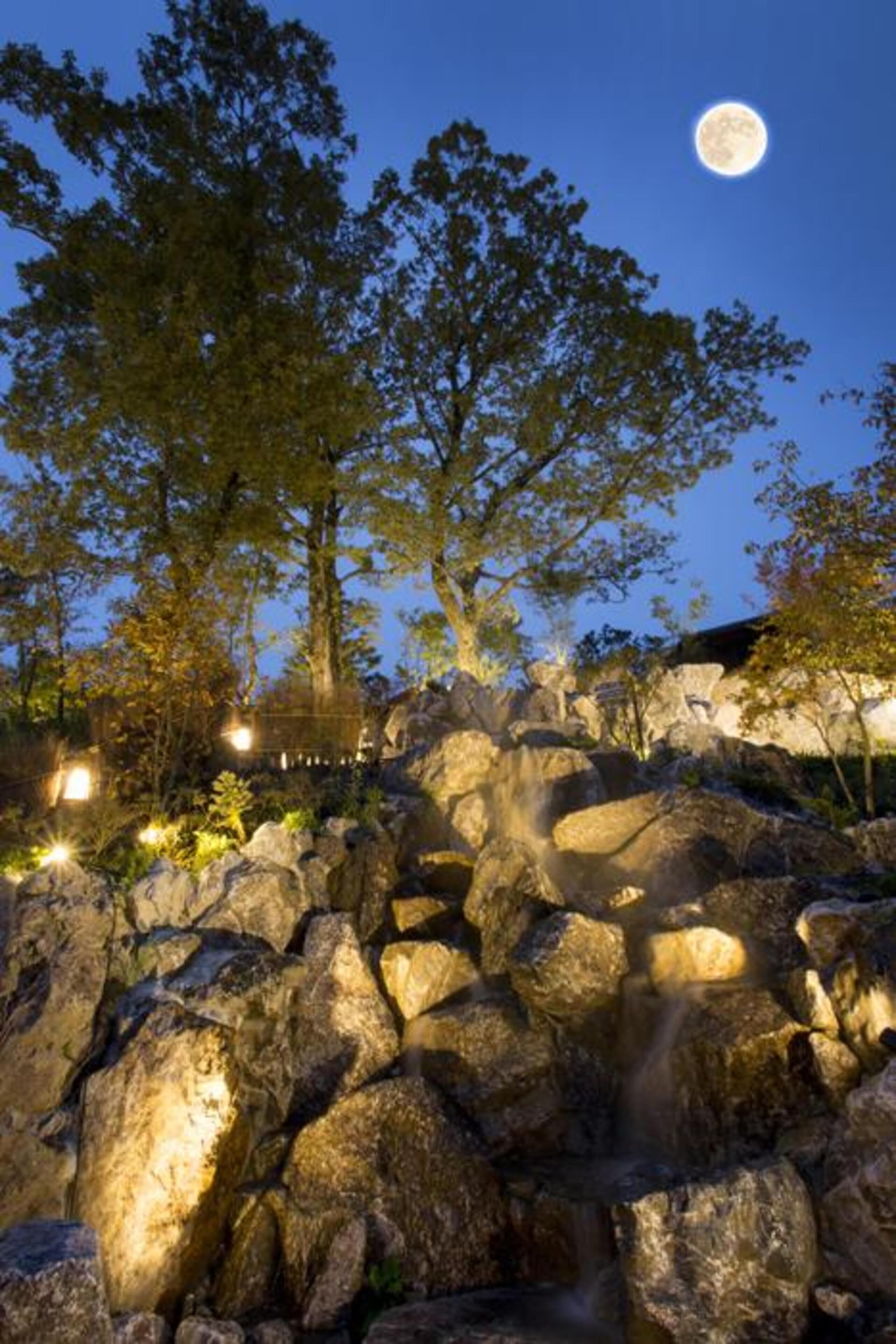A nighttime outdoor scene with a large tree, rocks, and a small waterfall.
