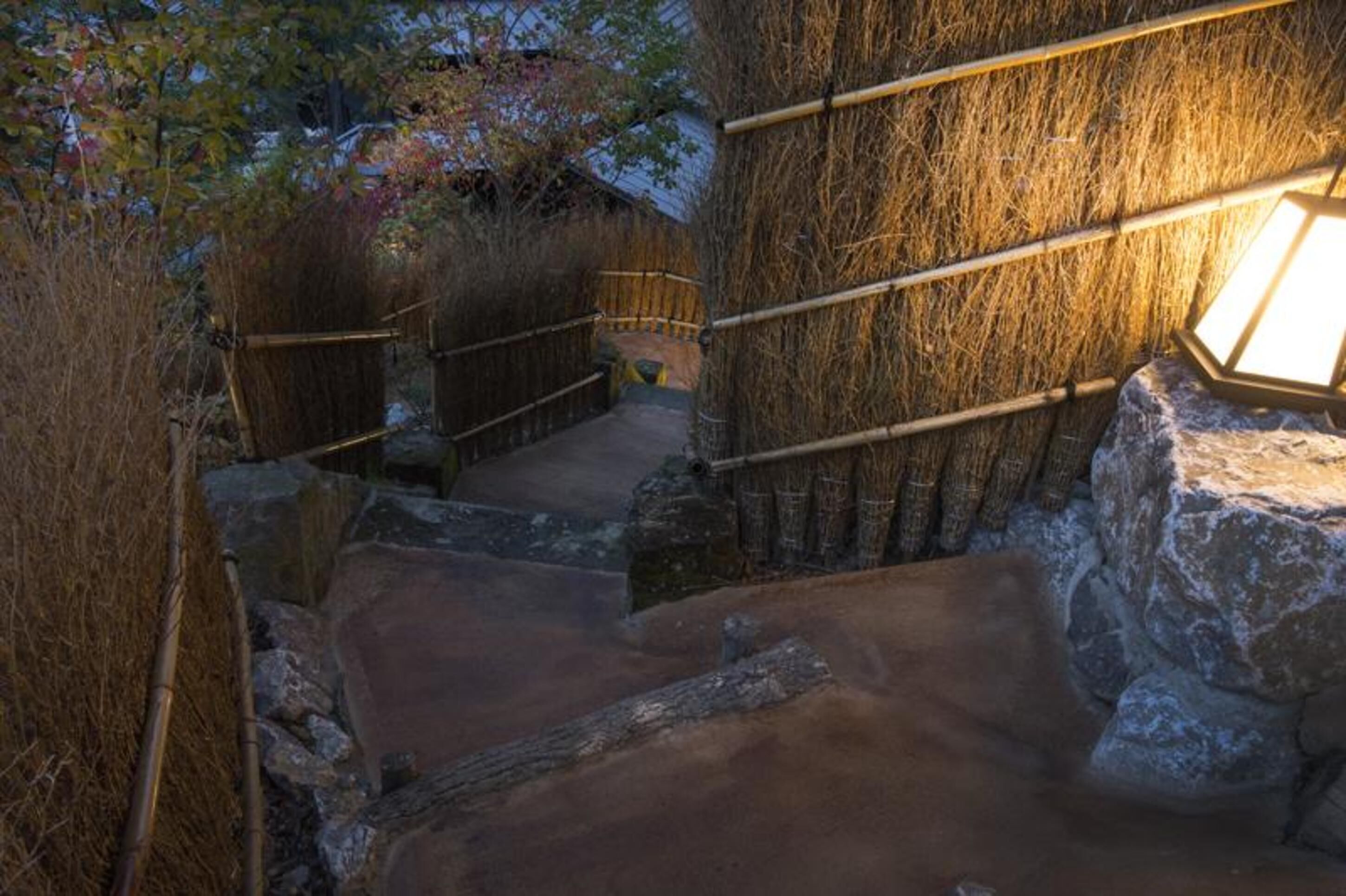 A stone staircase with a wooden railing, surrounded by dry grass and trees.