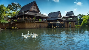 A traditional wooden house with a water body in front, swans swimming nearby. - Howie's Homestay (Mae Rim)