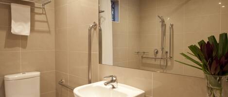 A modern bathroom with a toilet, sink, shower, and a mirror.