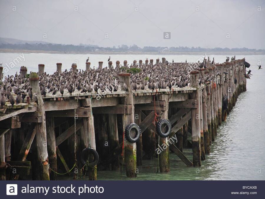 Tempat menarik