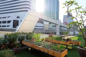 Dining - Hom hostel & cooking club (Bangkok)