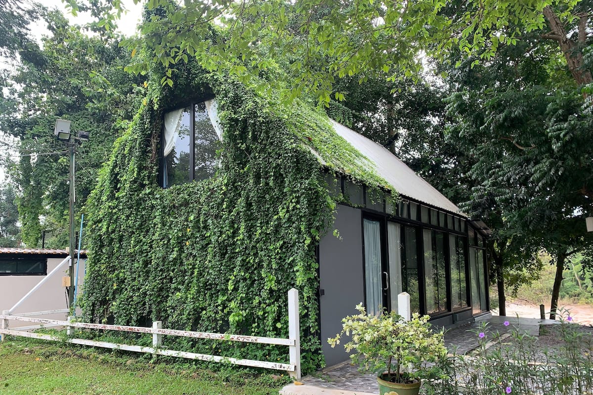 En modern byggnad, delvis täckt av murgröna, ett vitt staket och en krukväxt med blommor.