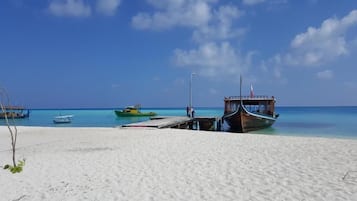 On the beach, scuba diving