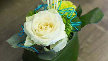 A white rose in a green vase with blue decorative elements.