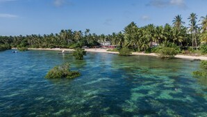 A coastal view with clear water, palm trees, and a beach. - Reef Beach Resort (General Luna)