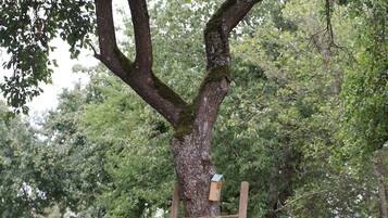 Tempat bermain anak - outdoor