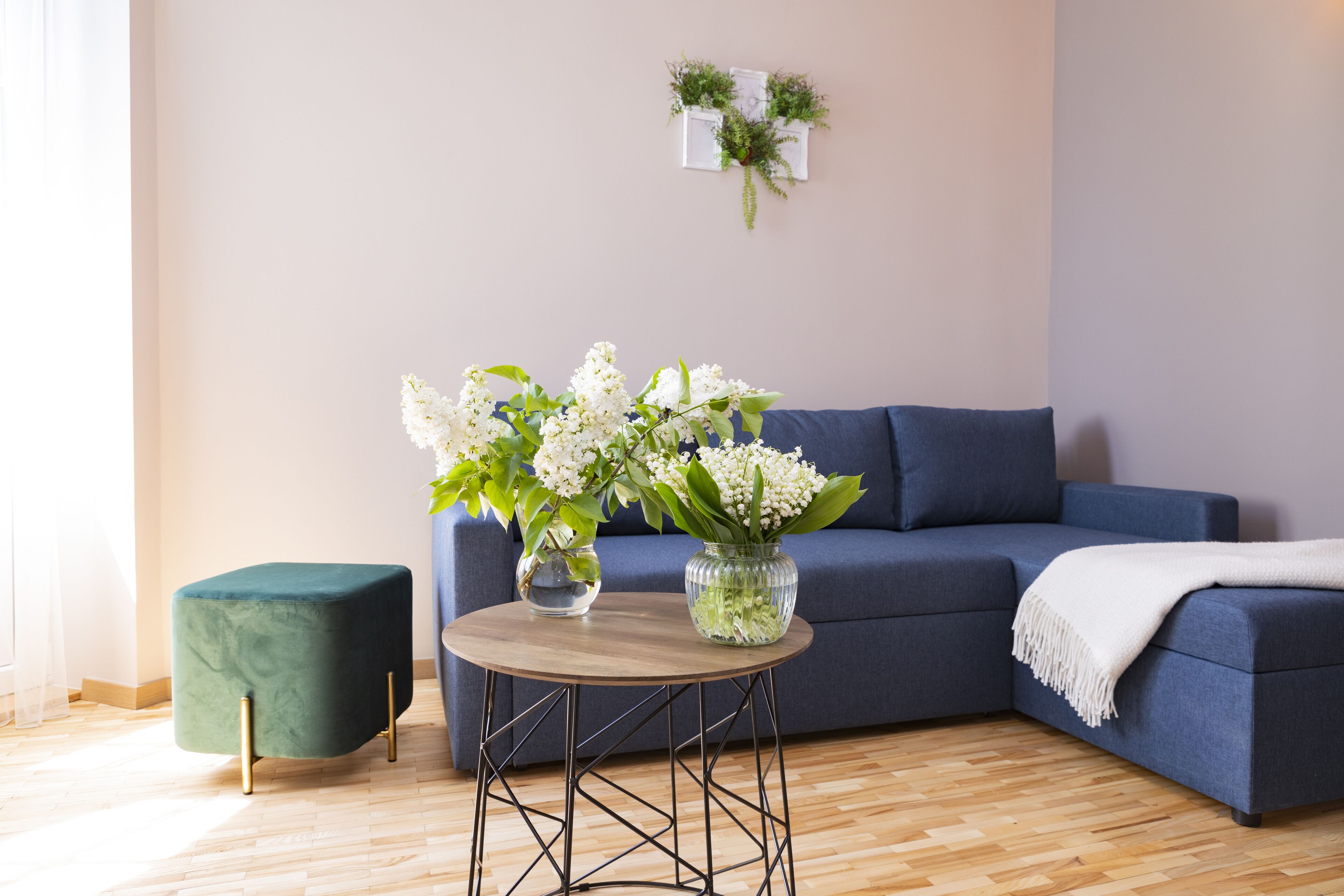 standard apartment | living area | 124-cm flat-screen tv with cable channels, tv