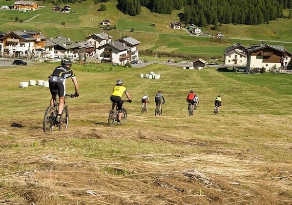 A group of cyclists on a grassy field with houses in the background.