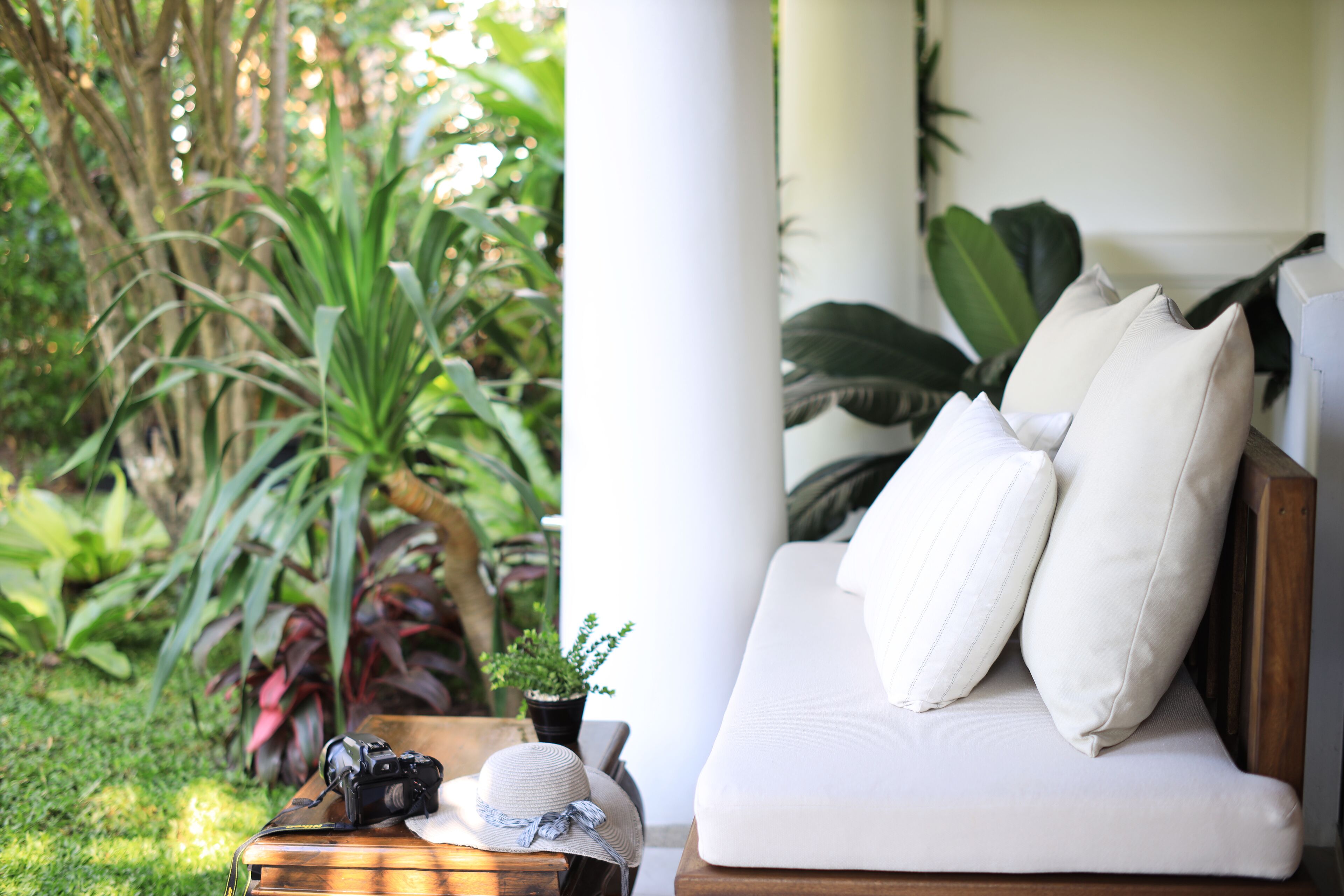 A garden with a wooden table, a camera, and a hat.